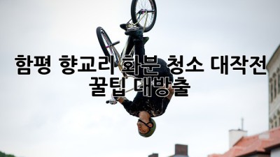 함평 향교리 화분 청소 대작전! 🏡✨ 꿀팁 대방출