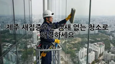 제주 새집증후군, 냄새 없는 청소로 해결하세요!